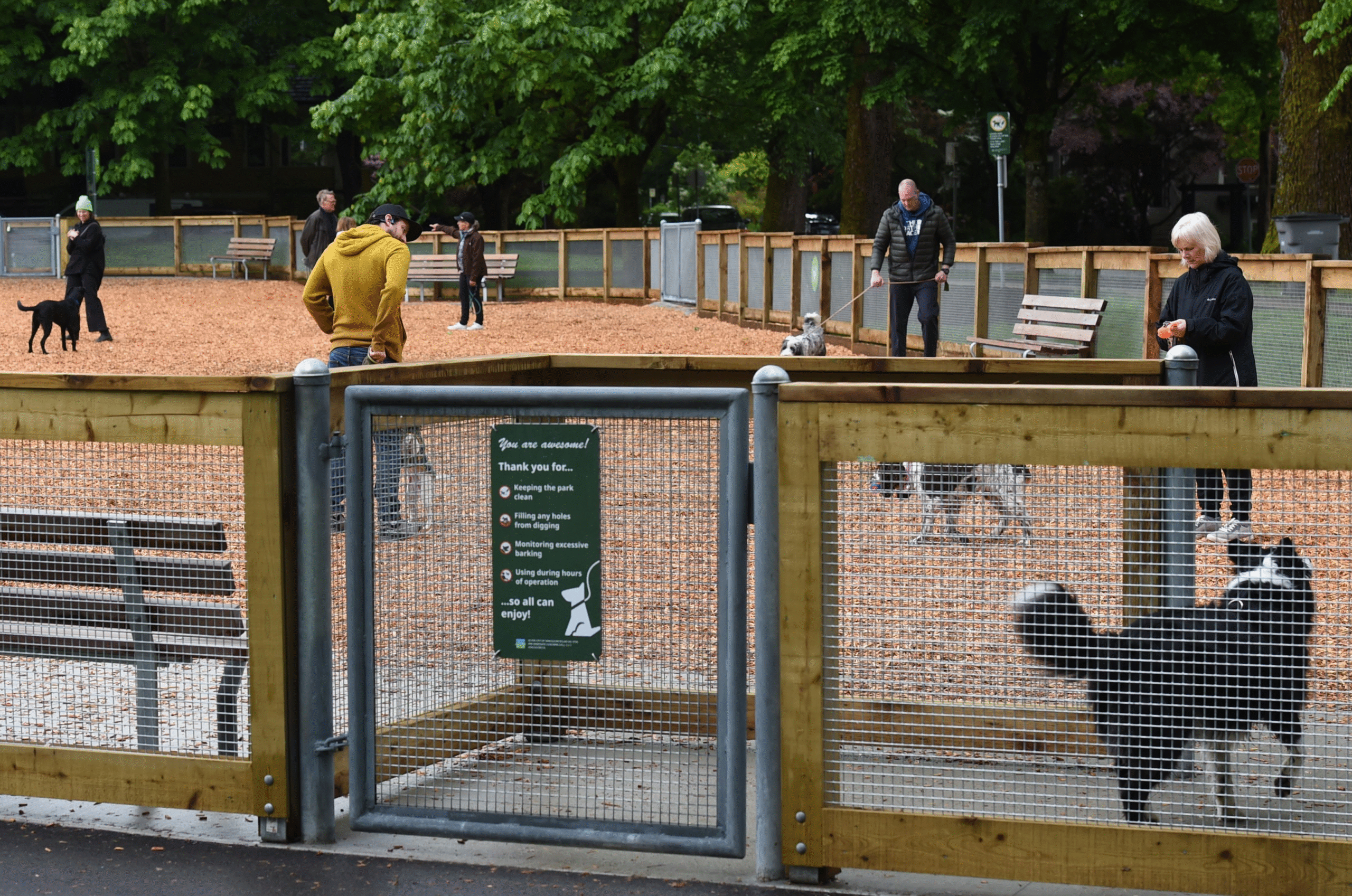 Safe dog meet ups in Vancouver: parks tips and the PupMeet app